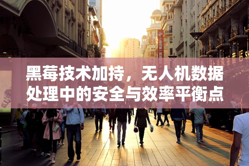 黑莓技术加持，无人机数据处理中的安全与效率平衡点何在？