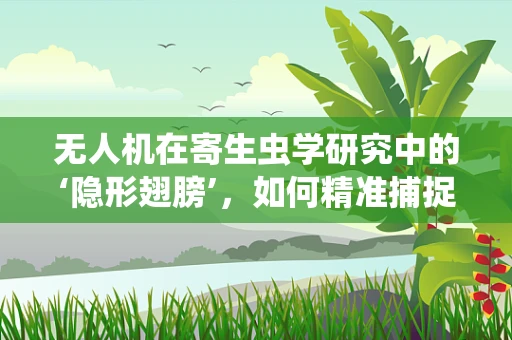 无人机在寄生虫学研究中的‘隐形翅膀’，如何精准捕捉并分析样本数据？
