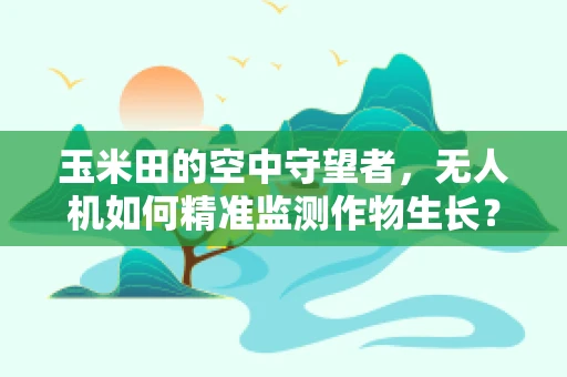 玉米田的空中守望者，无人机如何精准监测作物生长？