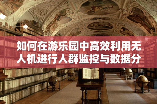 如何在游乐园中高效利用无人机进行人群监控与数据分析？
