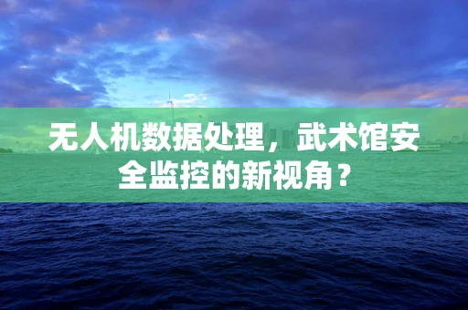 无人机数据处理，武术馆安全监控的新视角？