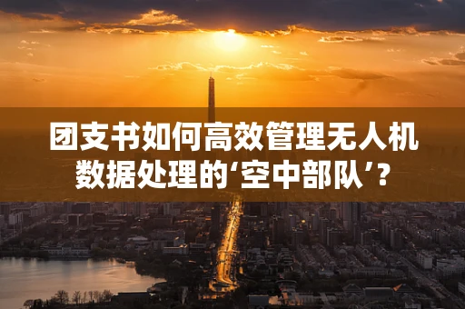 团支书如何高效管理无人机数据处理的‘空中部队’？