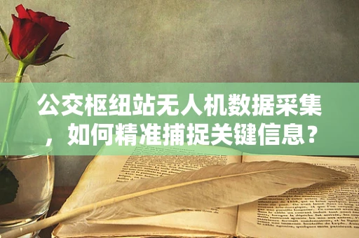 公交枢纽站无人机数据采集，如何精准捕捉关键信息？