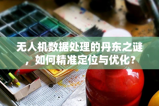 无人机数据处理的丹东之谜，如何精准定位与优化？