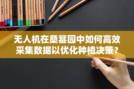 无人机在桑葚园中如何高效采集数据以优化种植决策？