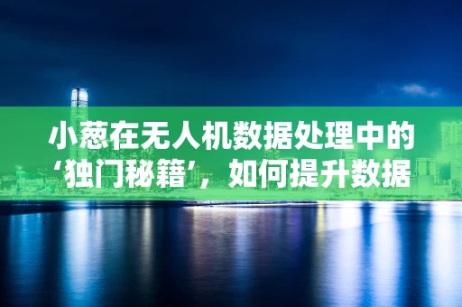 小葱在无人机数据处理中的‘独门秘籍’，如何提升数据处理效率？