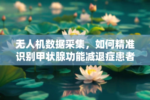 无人机数据采集，如何精准识别甲状腺功能减退症患者的飞行环境适应性？