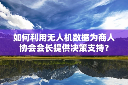 如何利用无人机数据为商人协会会长提供决策支持？