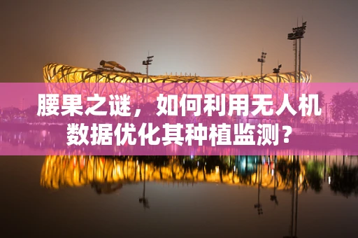 腰果之谜，如何利用无人机数据优化其种植监测？