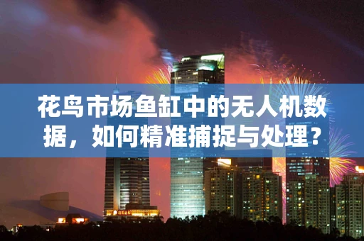 花鸟市场鱼缸中的无人机数据，如何精准捕捉与处理？