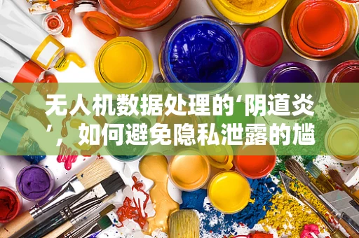 无人机数据处理的‘阴道炎’，如何避免隐私泄露的尴尬？
