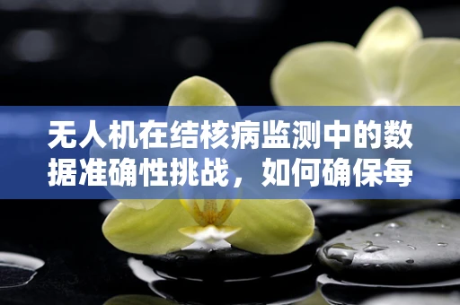无人机在结核病监测中的数据准确性挑战，如何确保每一份样本的精准无误？