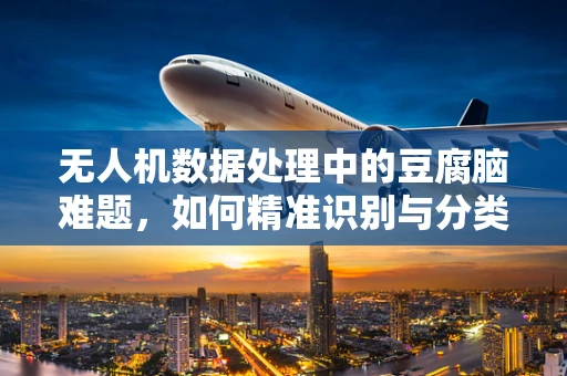 无人机数据处理中的豆腐脑难题，如何精准识别与分类？