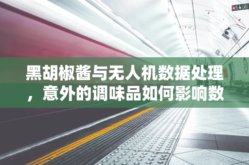 黑胡椒酱与无人机数据处理，意外的调味品如何影响数据精度？