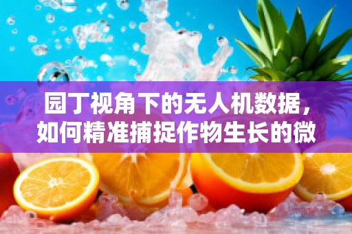 园丁视角下的无人机数据，如何精准捕捉作物生长的微表情？