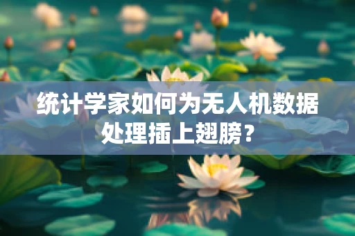 统计学家如何为无人机数据处理插上翅膀？