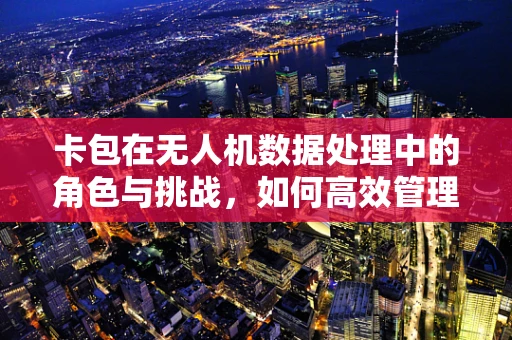 卡包在无人机数据处理中的角色与挑战，如何高效管理海量数据？