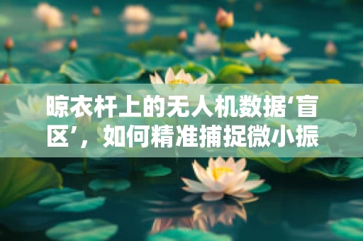 晾衣杆上的无人机数据‘盲区’，如何精准捕捉微小振动？