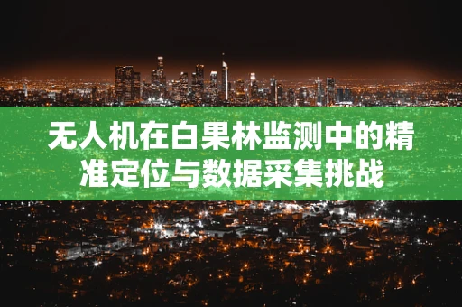 无人机在白果林监测中的精准定位与数据采集挑战