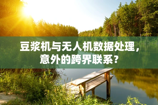 豆浆机与无人机数据处理，意外的跨界联系？