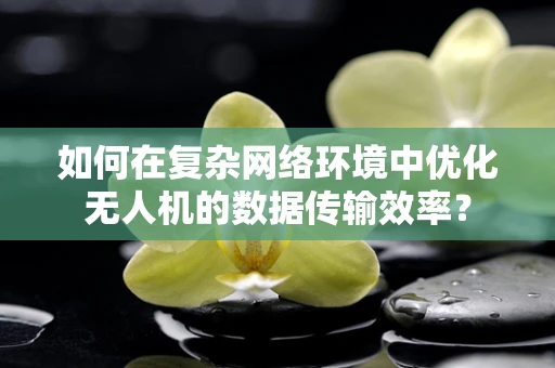 如何在复杂网络环境中优化无人机的数据传输效率？