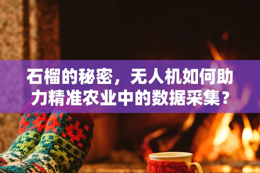 石榴的秘密，无人机如何助力精准农业中的数据采集？