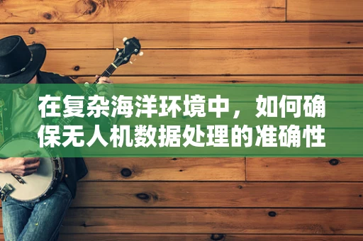 在复杂海洋环境中，如何确保无人机数据处理的准确性与稳定性？