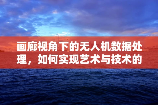 画廊视角下的无人机数据处理，如何实现艺术与技术的完美融合？