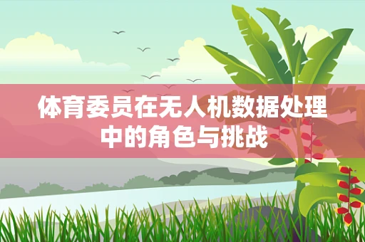 体育委员在无人机数据处理中的角色与挑战