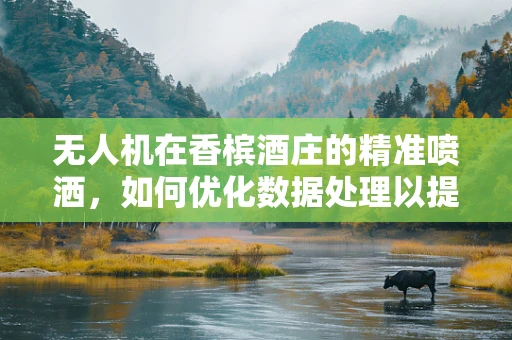 无人机在香槟酒庄的精准喷洒，如何优化数据处理以提升效率？