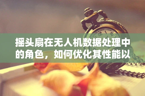 摇头扇在无人机数据处理中的角色，如何优化其性能以提升数据质量？