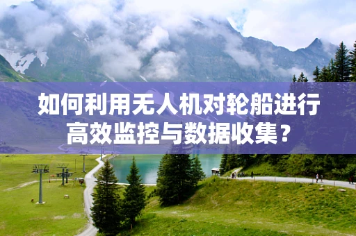 如何利用无人机对轮船进行高效监控与数据收集？
