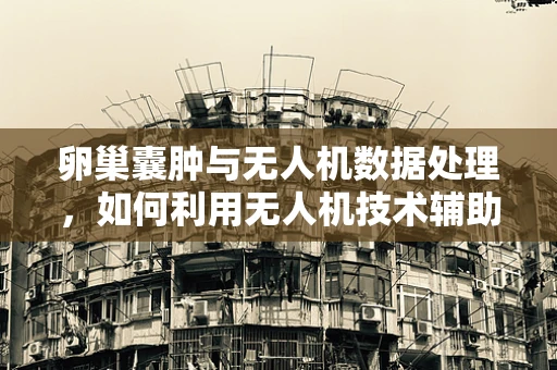 卵巢囊肿与无人机数据处理，如何利用无人机技术辅助医疗诊断？