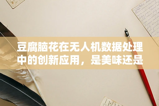 豆腐脑花在无人机数据处理中的创新应用，是美味还是技术革新？