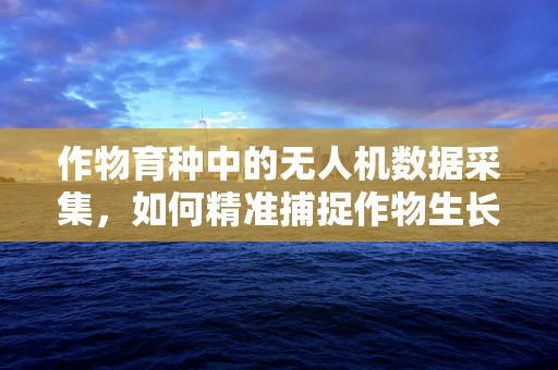 作物育种中的无人机数据采集，如何精准捕捉作物生长的‘黄金时刻’？