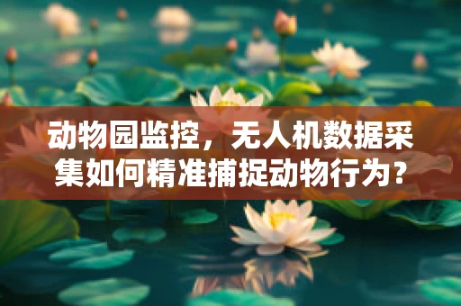 动物园监控，无人机数据采集如何精准捕捉动物行为？