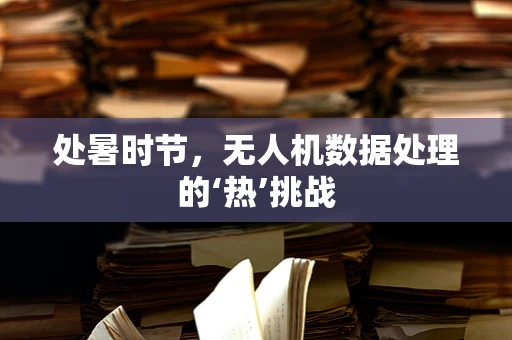 处暑时节，无人机数据处理的‘热’挑战