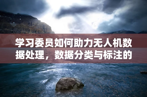 学习委员如何助力无人机数据处理，数据分类与标注的智慧引领？