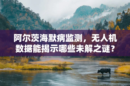 阿尔茨海默病监测，无人机数据能揭示哪些未解之谜？