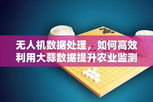 无人机数据处理，如何高效利用大蒜数据提升农业监测精度？