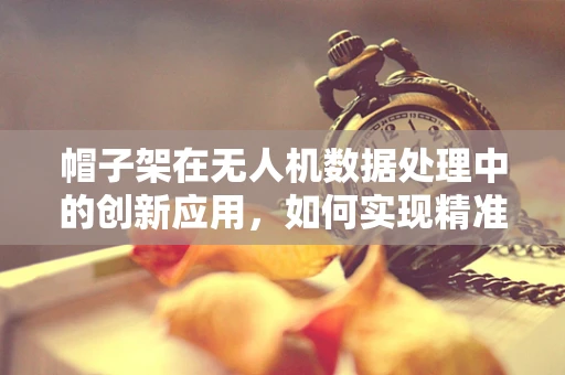 帽子架在无人机数据处理中的创新应用，如何实现精准定位与避障？