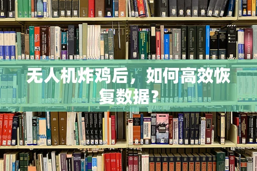 无人机炸鸡后，如何高效恢复数据？