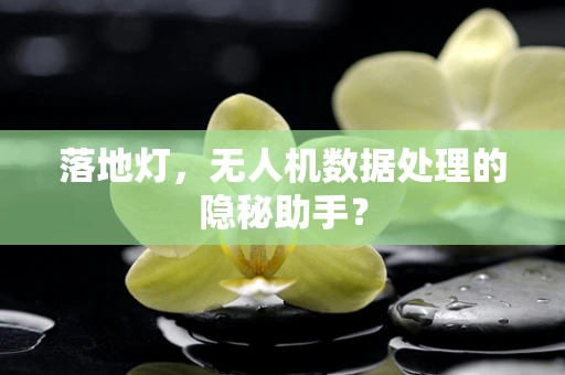 落地灯，无人机数据处理的隐秘助手？