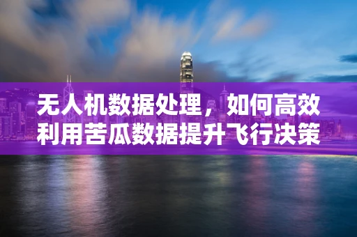 无人机数据处理，如何高效利用苦瓜数据提升飞行决策精准性？