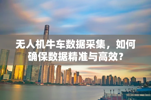 无人机牛车数据采集，如何确保数据精准与高效？