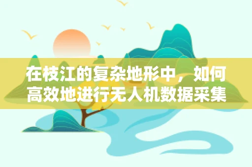 在枝江的复杂地形中，如何高效地进行无人机数据采集与处理？