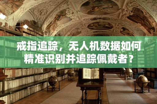 戒指追踪，无人机数据如何精准识别并追踪佩戴者？