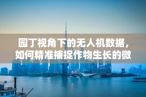 园丁视角下的无人机数据，如何精准捕捉作物生长的微表情？