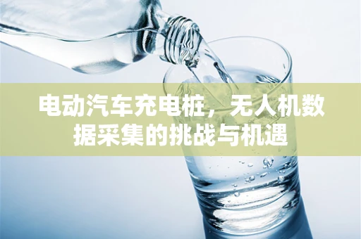电动汽车充电桩，无人机数据采集的挑战与机遇