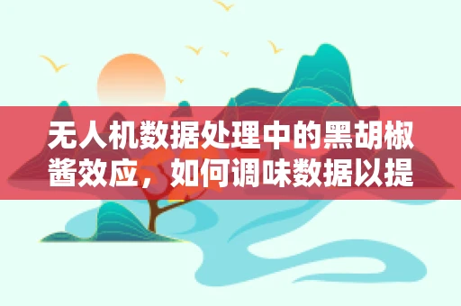 无人机数据处理中的黑胡椒酱效应，如何调味数据以提升分析精度？